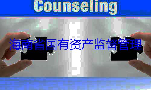 理委员会党资产监督管查调查委副书记王海南省国有有福接受审